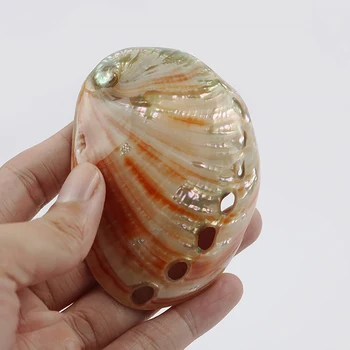 2tk Loomulik Abalone Shell Mere Elu Loomulik Kestad Conch Diy Akvaariumi Kala Tank Maastiku Käsitöö Kaunistused meriteod