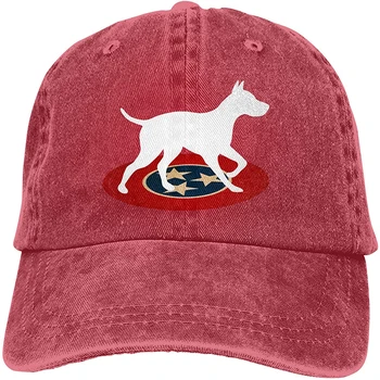 Tennessee State Collie Sport Denim Ühise Põllumajanduspoliitika Reguleeritav Unisex Plain Pesapalli Kauboi Snapback Müts